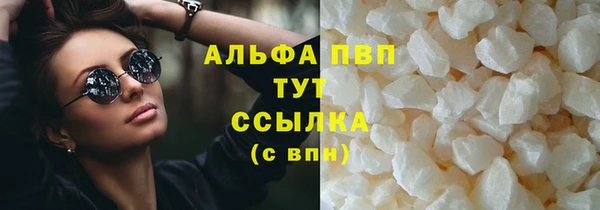 прущие грибы Навашино