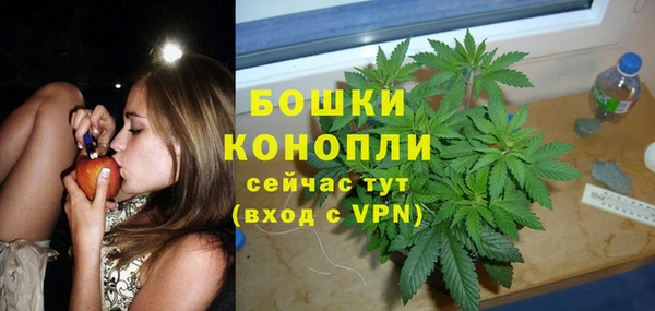 стафф Нефтекумск
