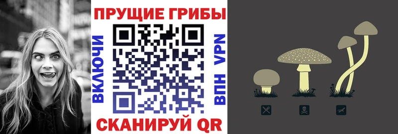 это наркотические препараты  сколько стоит  Арсеньев  Галлюциногенные грибы MAGIC MUSHROOMS 