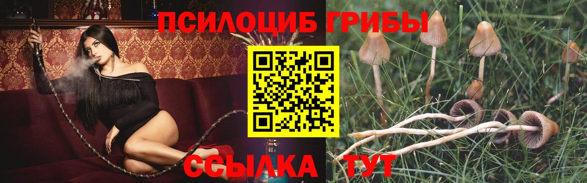 Галлюциногенные грибы мицелий  купить закладку  Арсеньев  Вход с VPN 