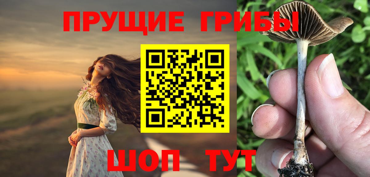 Псилоцибиновые грибы Magic Shrooms  Арсеньев  Галлюциногенные грибы GOLDEN TEACHER 